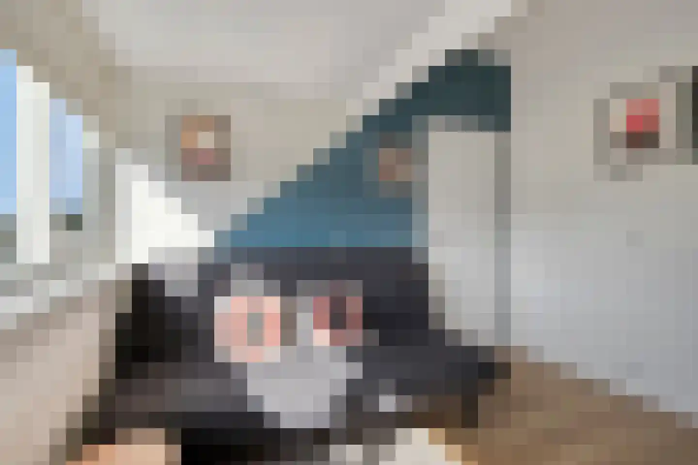 Ratelaar 17 Krimpen aan den IJssel thumbnail 23