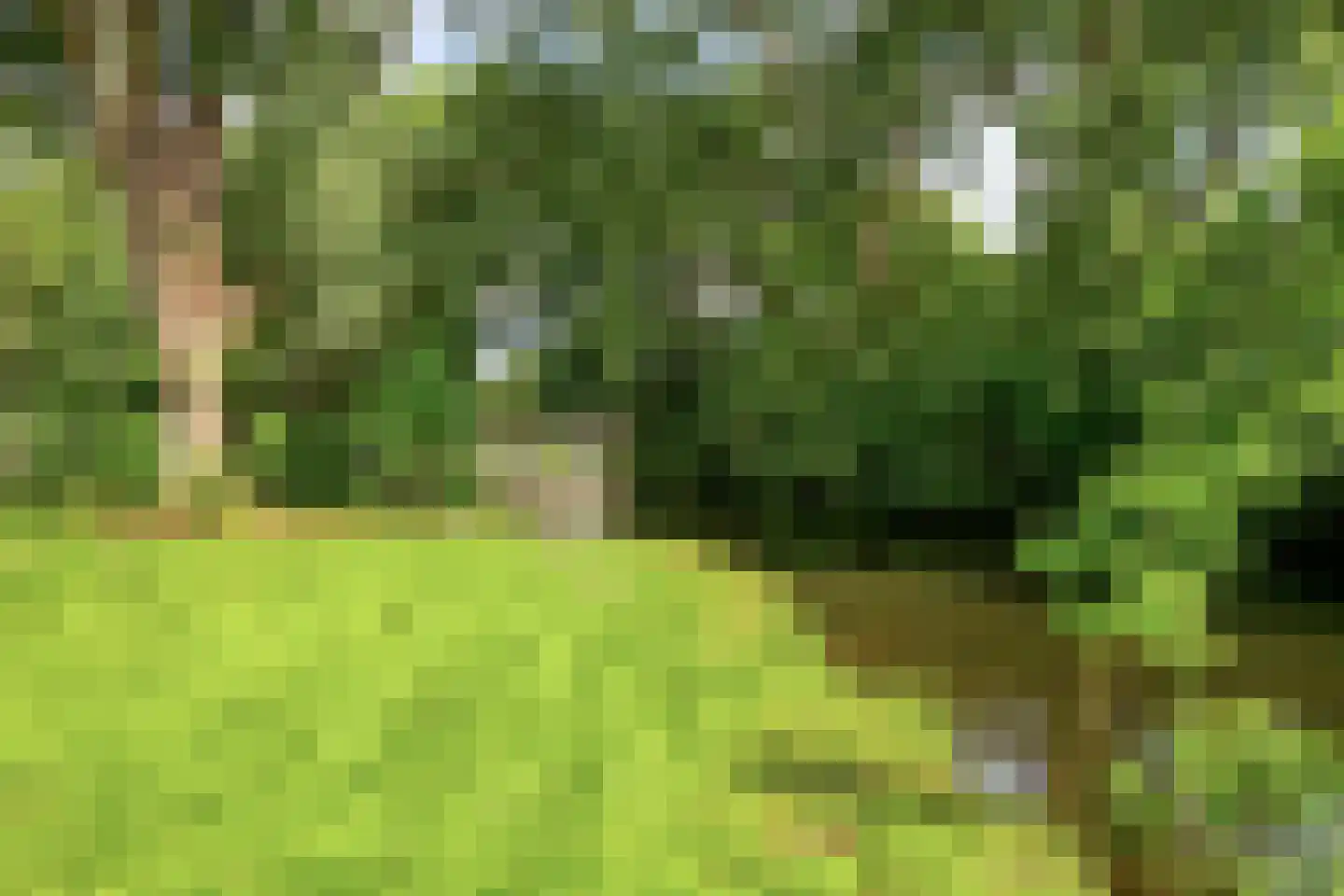 Ratelaar 17 Krimpen aan den IJssel thumbnail 31