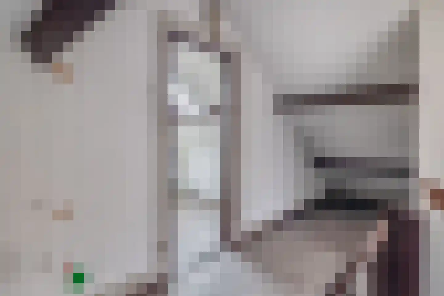 Ratelaar 20 Veghel thumbnail 16