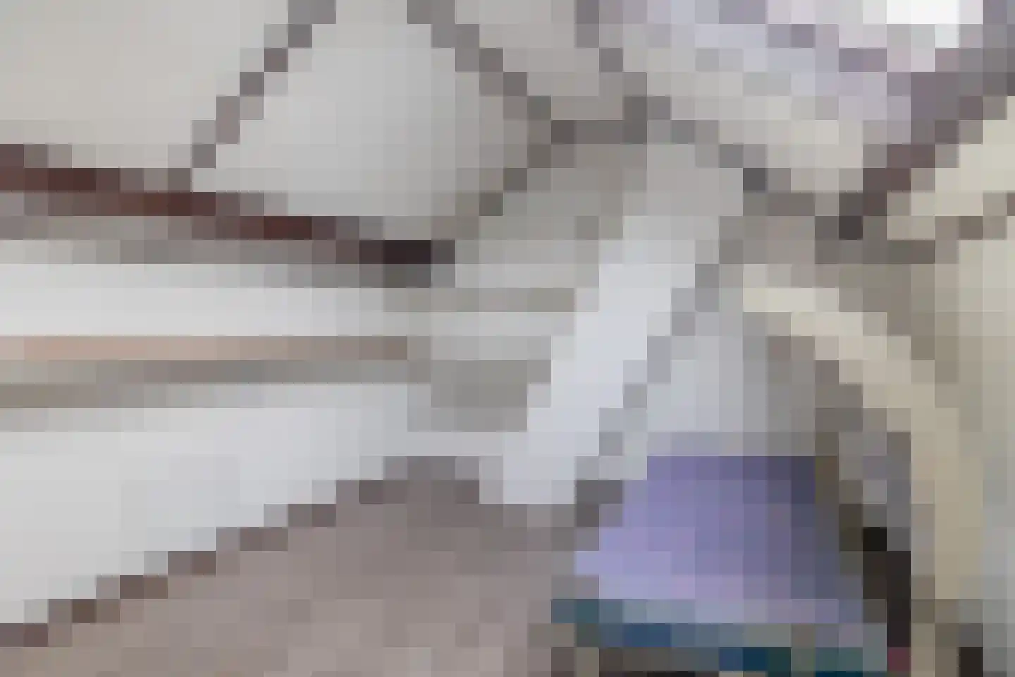 Ratelaar 20 Veghel thumbnail 18