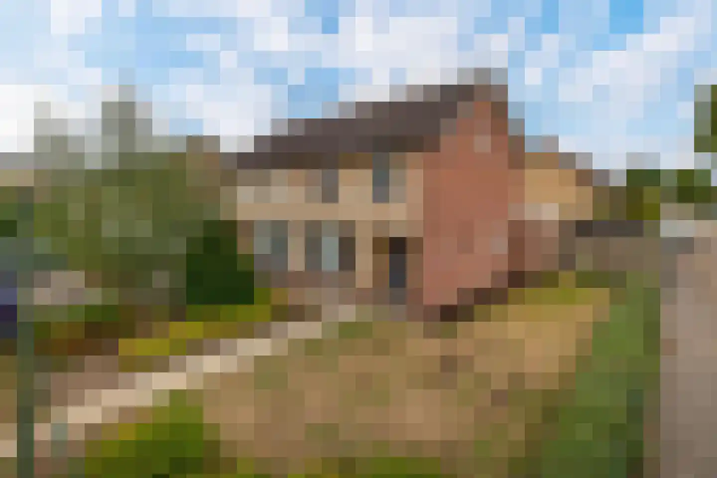 Ratelaar 20 Veghel thumbnail 25