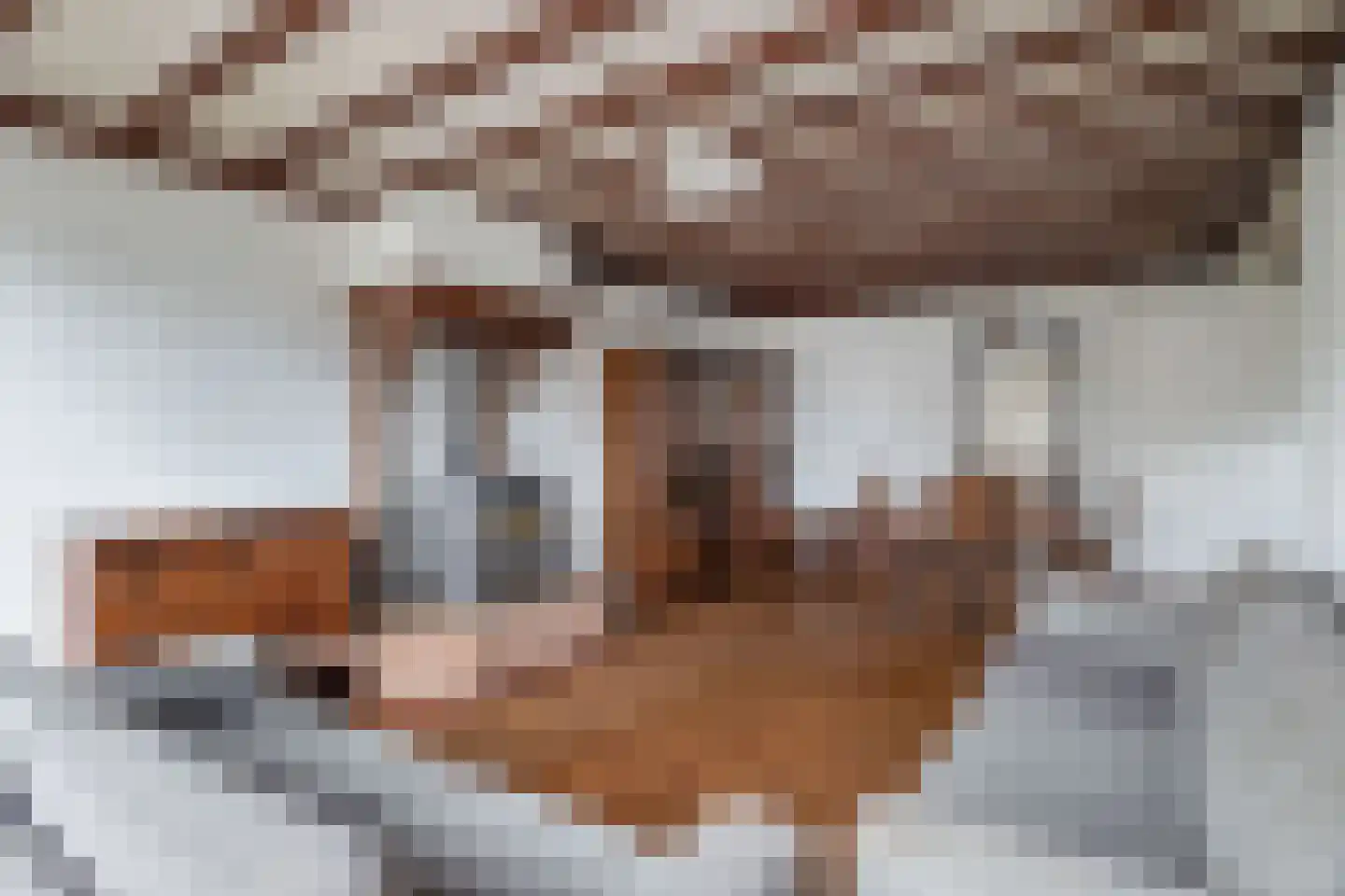 Ratelaar 20 Veghel thumbnail 4