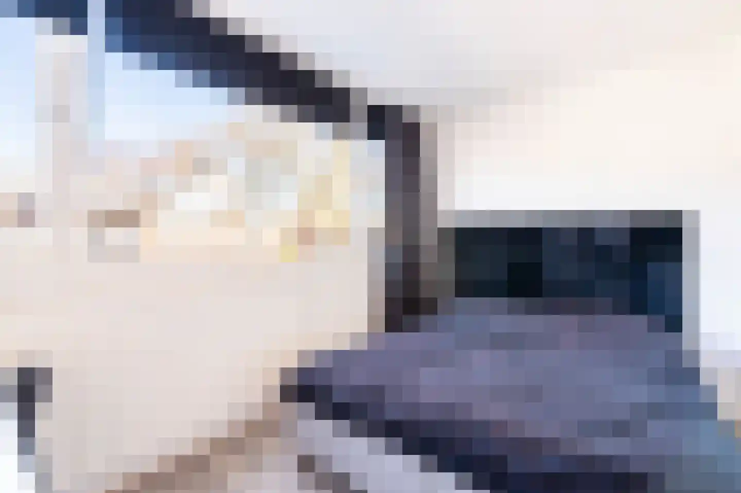 Ratelaar 22 Apeldoorn thumbnail 17