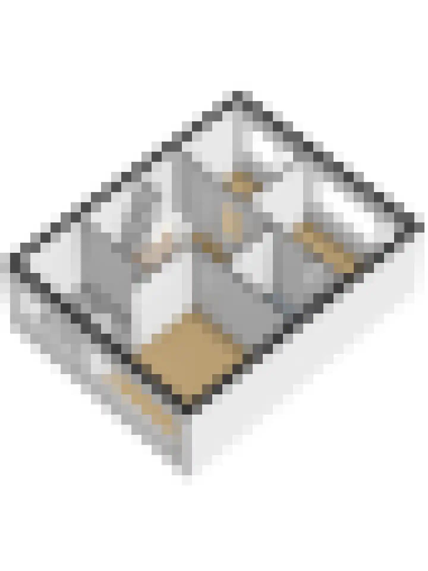 Ratelaar 22 Apeldoorn thumbnail 33