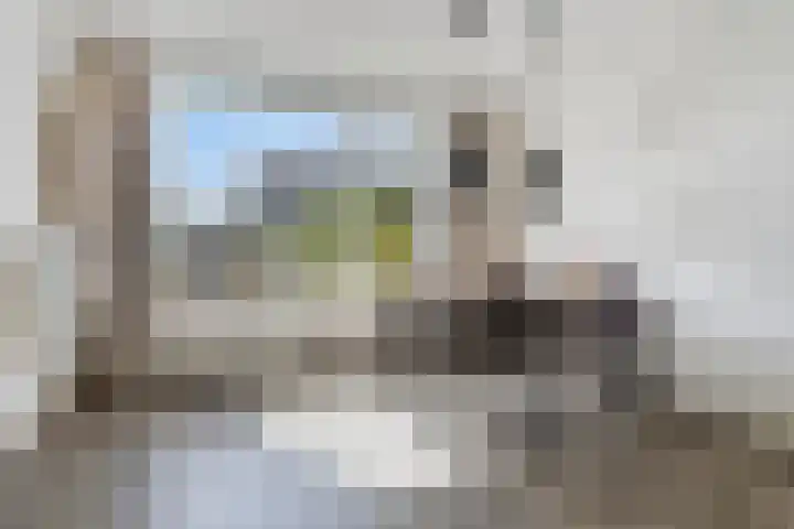 Ratelaar 22 Heerenveen thumbnail 11
