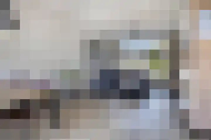 Ratelaar 22 Heerenveen thumbnail 12