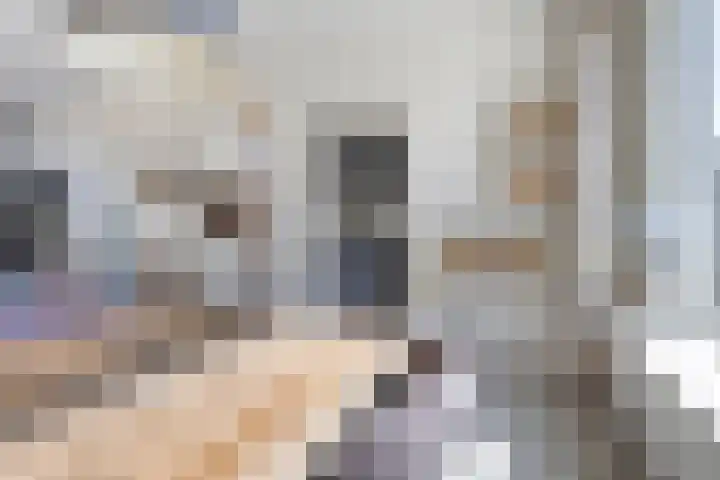 Ratelaar 22 Heerenveen thumbnail 13