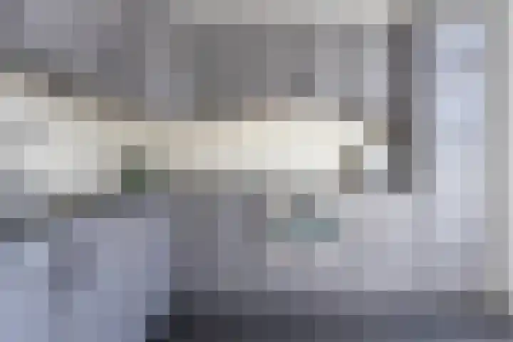 Ratelaar 22 Heerenveen thumbnail 14