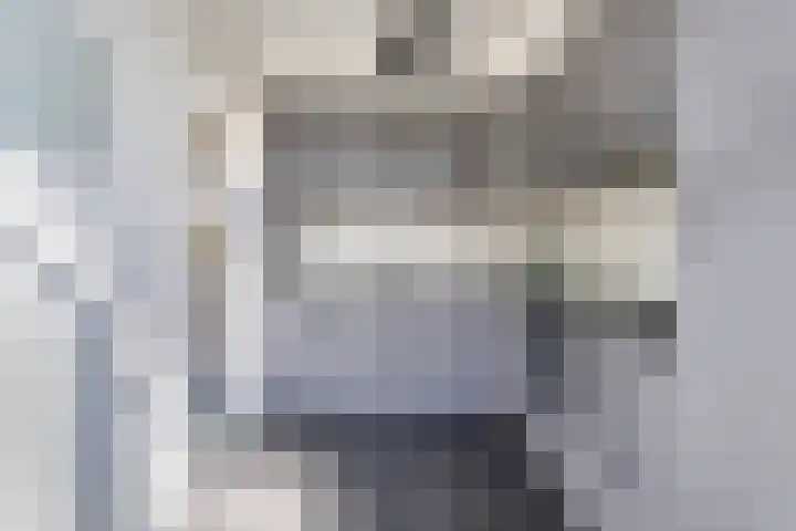 Ratelaar 22 Heerenveen thumbnail 15