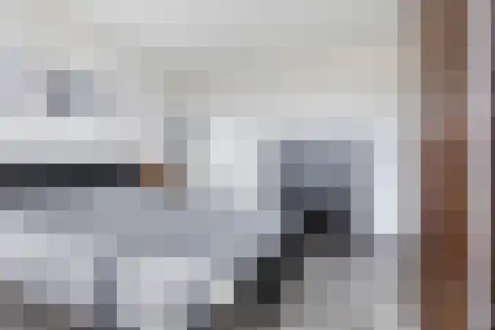 Ratelaar 22 Heerenveen thumbnail 19