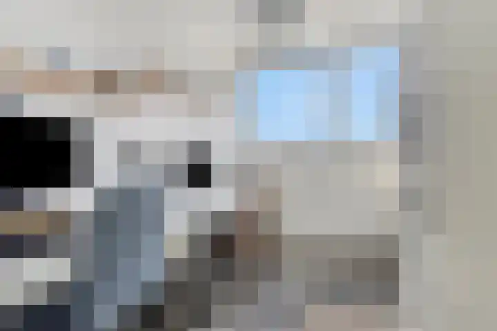 Ratelaar 22 Heerenveen thumbnail 22
