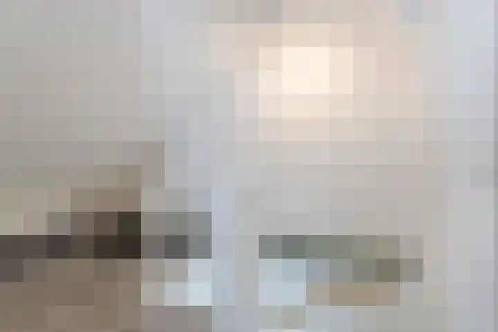 Ratelaar 22 Heerenveen thumbnail 27