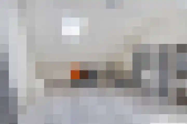 Ratelaar 22 Heerenveen thumbnail 28