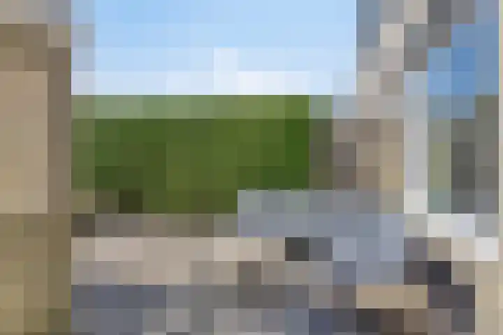 Ratelaar 22 Heerenveen thumbnail 30