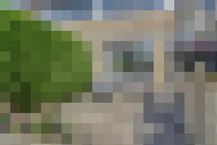 Ratelaar 22 Heerenveen thumbnail 32