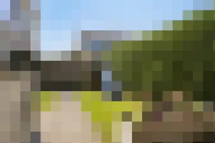 Ratelaar 22 Heerenveen thumbnail 33