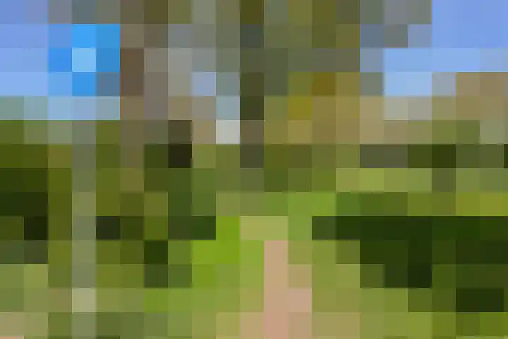 Ratelaar 22 Heerenveen thumbnail 34