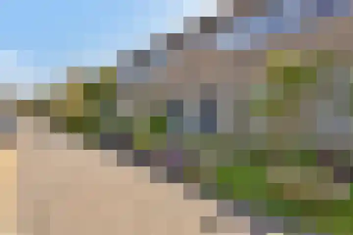 Ratelaar 22 Heerenveen thumbnail 5