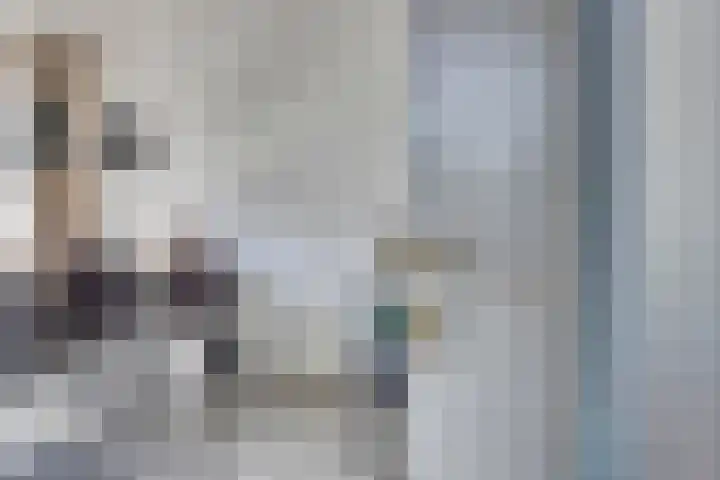 Ratelaar 22 Heerenveen thumbnail 7