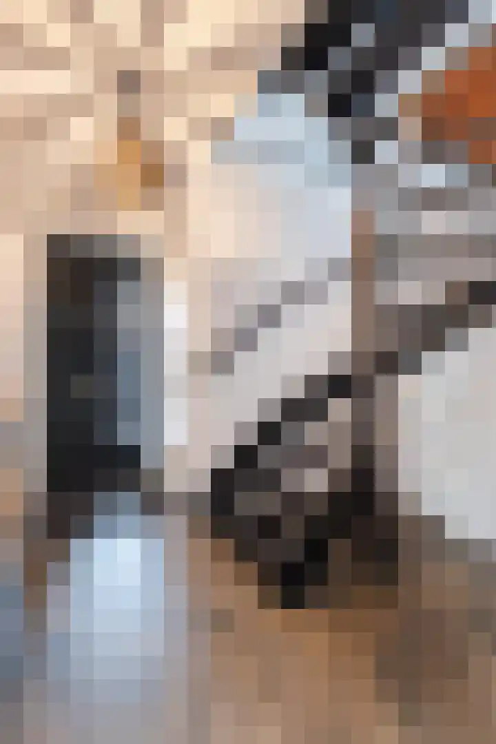 Ratelaar 24 Hengelo thumbnail 10