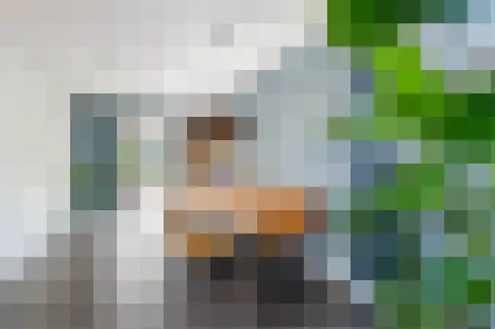 Ratelaar 24 Hengelo thumbnail 19