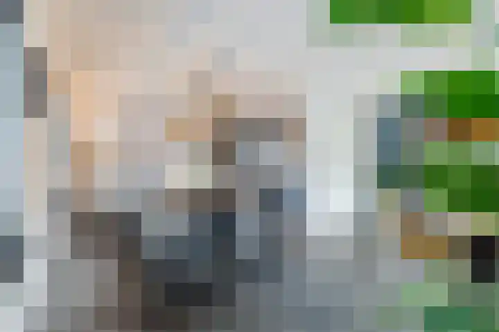 Ratelaar 24 Hengelo thumbnail 20