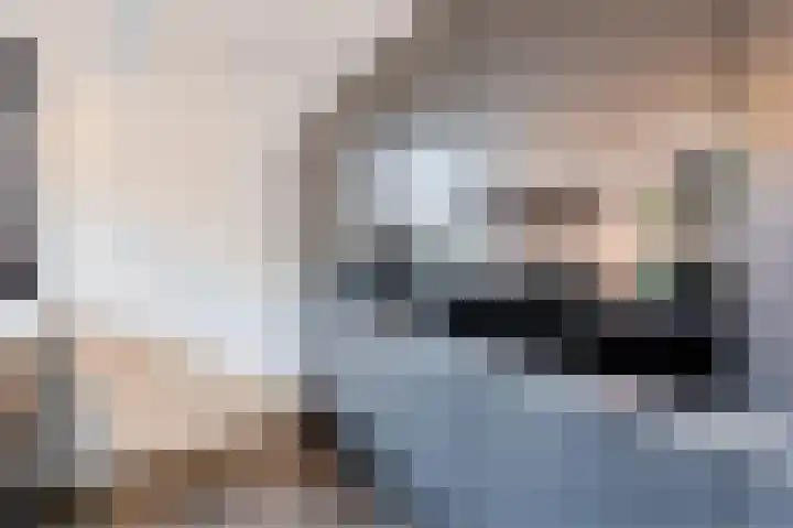 Ratelaar 24 Hengelo thumbnail 21