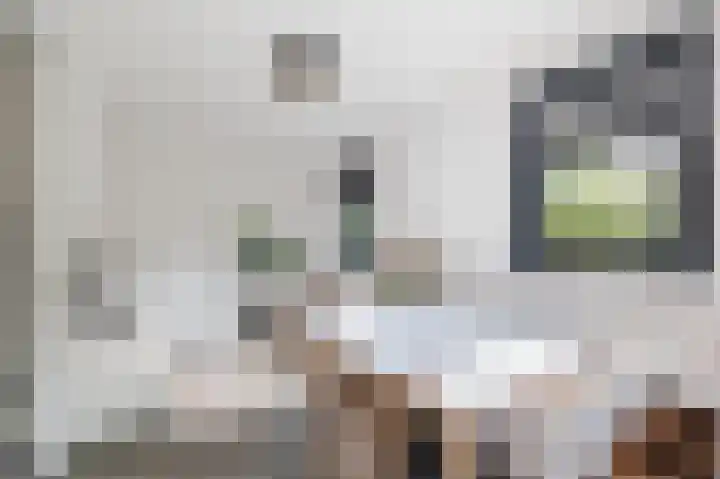 Ratelaar 24 Hengelo thumbnail 24