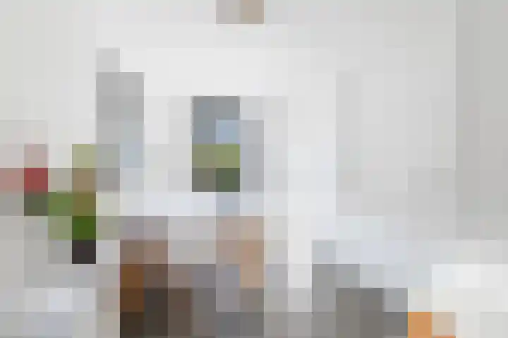 Ratelaar 24 Hengelo thumbnail 25