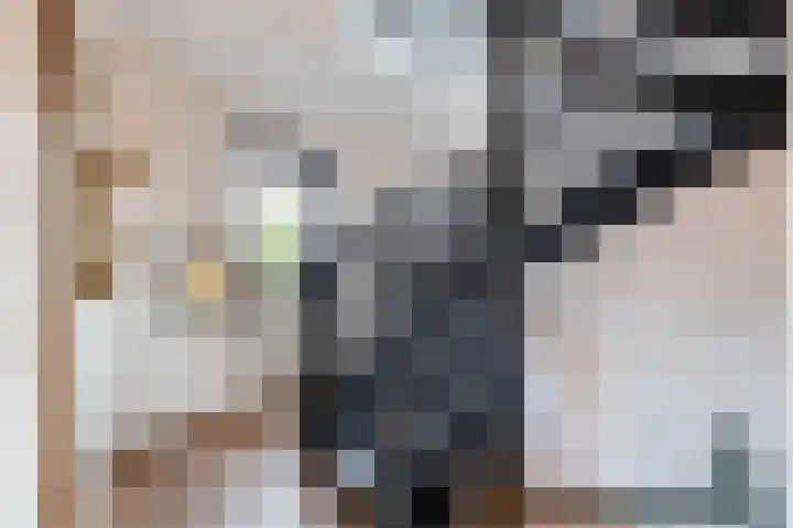 Ratelaar 24 Hengelo thumbnail 28