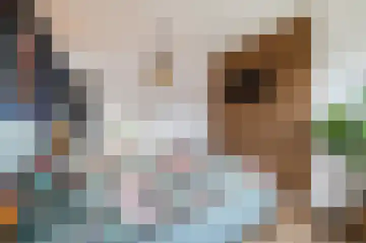 Ratelaar 24 Hengelo thumbnail 31
