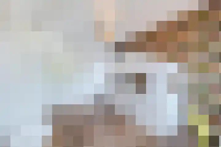 Ratelaar 24 Hengelo thumbnail 33