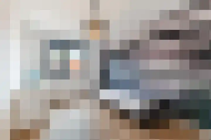Ratelaar 24 Hengelo thumbnail 34
