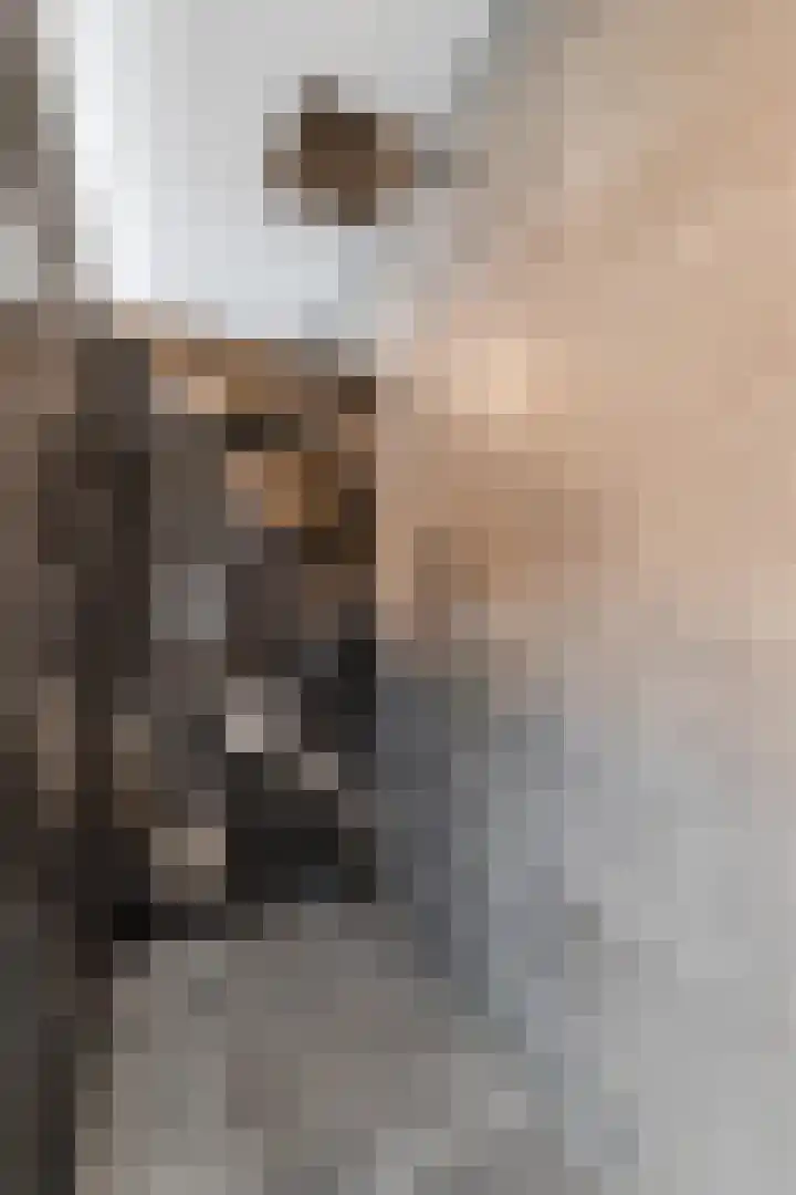 Ratelaar 24 Hengelo thumbnail 38