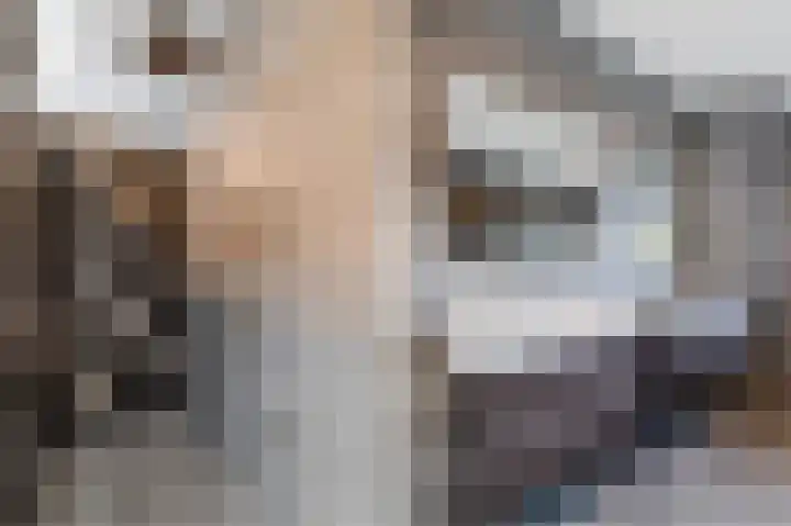 Ratelaar 24 Hengelo thumbnail 40