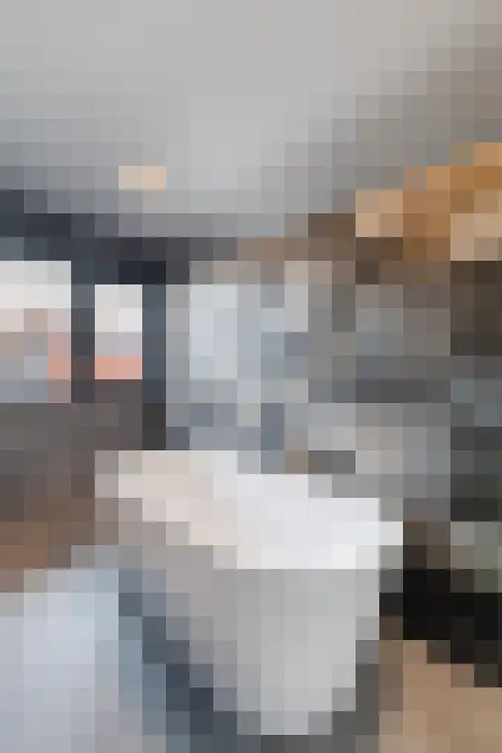 Ratelaar 24 Hengelo thumbnail 41