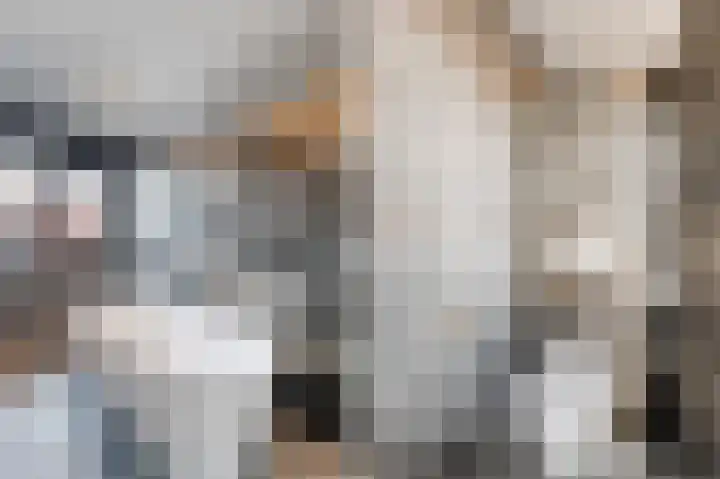 Ratelaar 24 Hengelo thumbnail 43