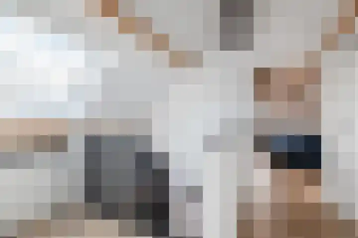 Ratelaar 24 Hengelo thumbnail 44