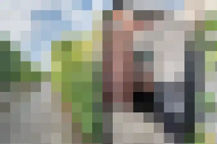 Ratelaar 24 Hengelo thumbnail 50