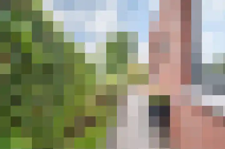 Ratelaar 24 Hengelo thumbnail 51