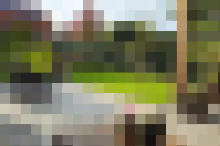 Ratelaar 24 Hengelo thumbnail 56