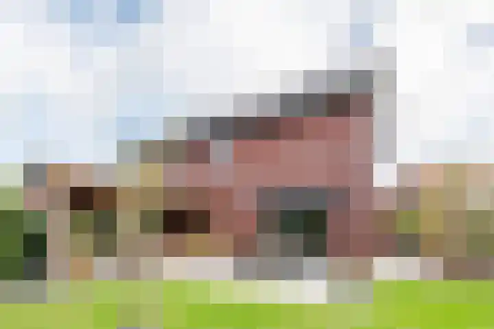 Ratelaar 24 Hengelo thumbnail 59
