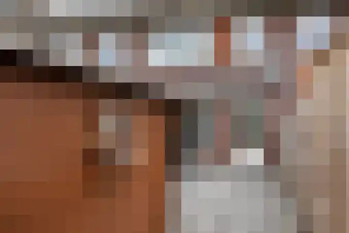 Ratelaar 25 Schoonebeek thumbnail 10