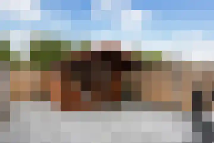 Ratelaar 25 Schoonebeek thumbnail 11