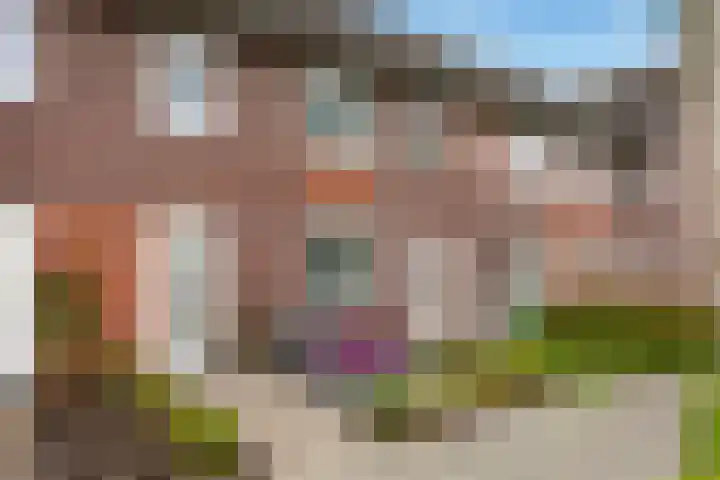 Ratelaar 25 Schoonebeek thumbnail 12
