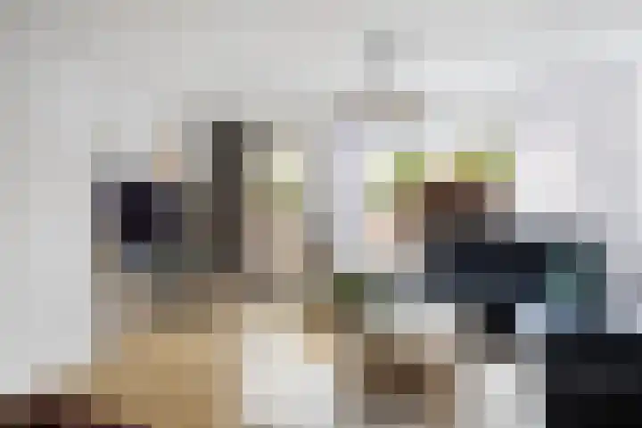 Ratelaar 25 Schoonebeek thumbnail 14