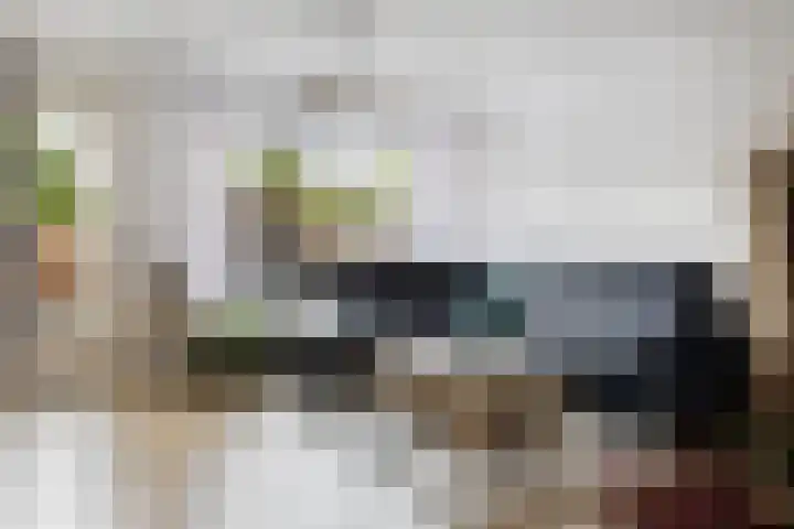 Ratelaar 25 Schoonebeek thumbnail 15