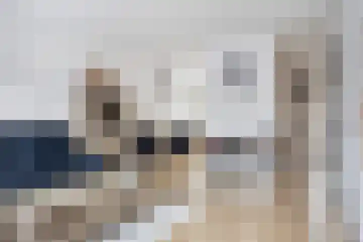 Ratelaar 25 Schoonebeek thumbnail 16