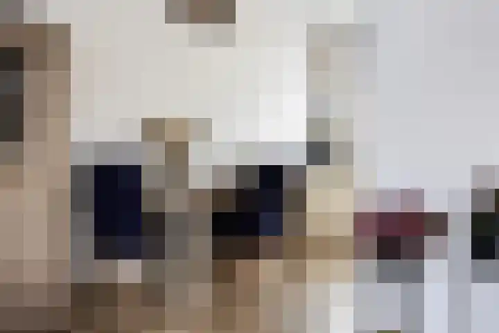 Ratelaar 25 Schoonebeek thumbnail 17