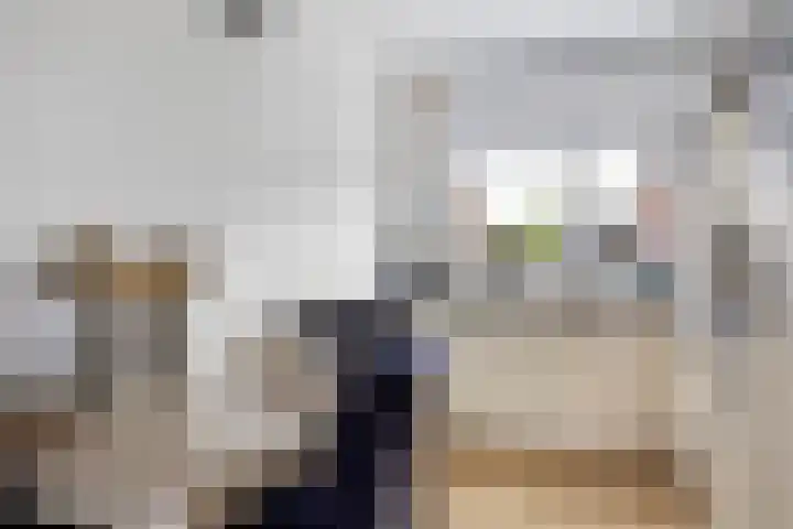 Ratelaar 25 Schoonebeek thumbnail 18